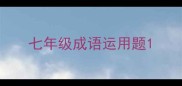 七年级成语运用题