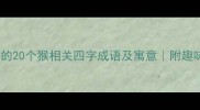猴年必知的20个猴相关四字成语及寓意附趣味记忆法