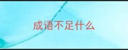 成语不足什么