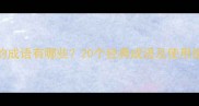 的的成语有哪些20个经典成语及使用指南