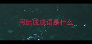 用组成成语是什么