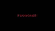 形容动物毛的成语