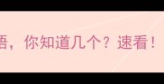 洗字开头的10个成语你知道几个速看附详细与使用技巧