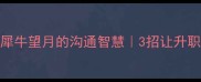 职场人必看犀牛望月的沟通智慧3招让升职加薪快人一步