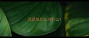 成语成什么败什么