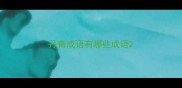 丹青成语有哪些成语