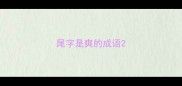 尾字是爽的成语