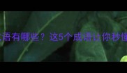 中间水的成语有哪些这5个成语让你秒懂处世智慧