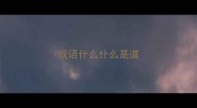 成语什么什么是道