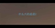 什么六的成语