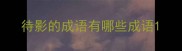 待影的成语有哪些成语