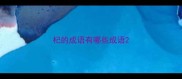 杞的成语有哪些成语
