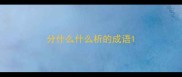 分什么什么析的成语