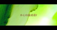 水心白鉴成语