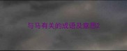 与马有关的成语及意思