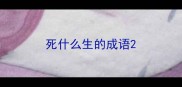 死什么生的成语