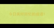 今日美好回忆的成语