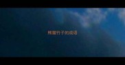 熊猫竹子的成语