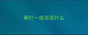 鼻打一成语是什么