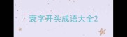 衰字开头成语大全