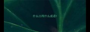 什么口而什么成语
