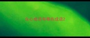众心成语有哪些成语