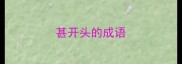 甚开头的成语