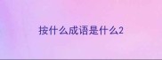 按什么成语是什么