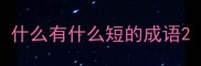 什么有什么短的成语