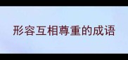 形容互相尊重的成语