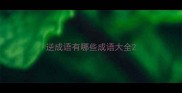 逆成语有哪些成语大全