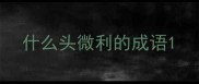 什么头微利的成语
