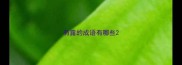 有露的成语有哪些