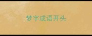 梦字成语开头