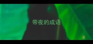 带夜的成语