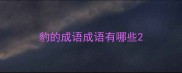 豹的成语成语有哪些