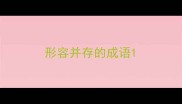 形容并存的成语