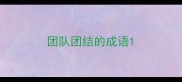 团队团结的成语
