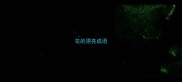 花的漂亮成语
