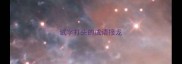 试字打头的成语接龙