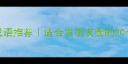 阴天氛围感成语推荐适合发朋友圈的20个高级感文案