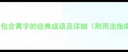 10个包含黄字的经典成语及详细附用法指南