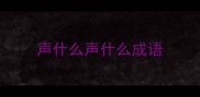 声什么声什么成语
