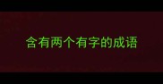 含有两个有字的成语