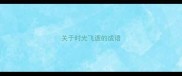 关于时光飞逝的成语