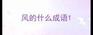风的什么成语