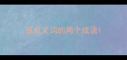 是反义词的两个成语